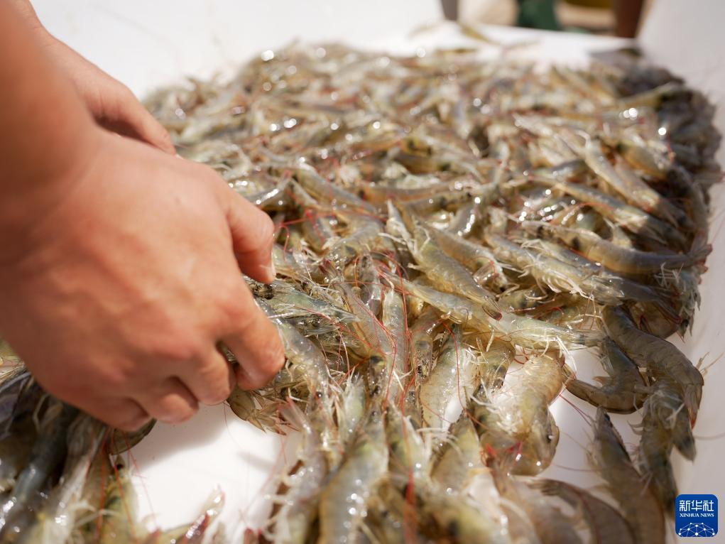 开户送38体验金不限id